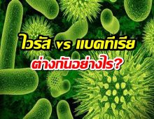 รู้หรือไม่? ไวรัส vs แบคทีเรีย แตกต่างกันอย่างไร?!