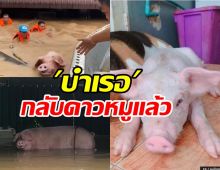  ลาก่อน บำเรอ น้ำท่วมครั้งนี้กลับดาวหมูแล้ว