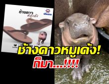 อีแตะหมูเด้งก็มา! นันยางเอาด้วย คลอดรองเท้าช้างดาวรุ่นใหม่