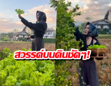 สวรรค์บนดินชัดๆ! "แอน" อวดบ้านสวนกลางทุ่งนา บรรยากาศโคตรชิล