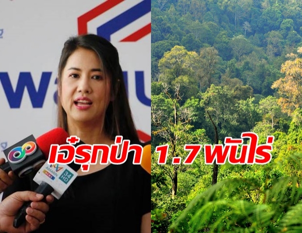  จบเห่! “ปารีณา” รับเองครอบครองที่ป่า 1.7 พัน ไร่  “วราวุธ” สั่งกรมป่าไม้สอบด่วน