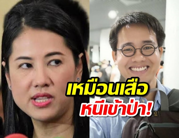 ปารีณา เปรียบ วันเฉลิม หายตัว เหมือนเสือหนีเข้าป่า