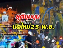 ม็อบละเลงเสร็จยุติชุมนุม นัดใหม่ 25 พ.ย. (รวมภาพ)