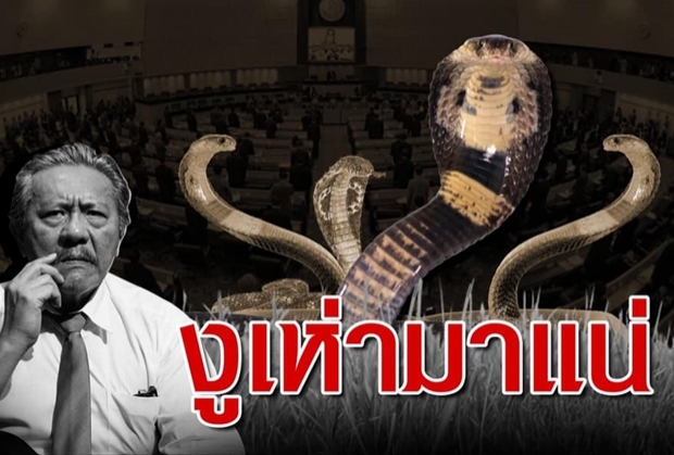 ชี้ชัด! “ชูวิทย์” มองการเมืองไทย “งานนี้มีงูเห่า”
