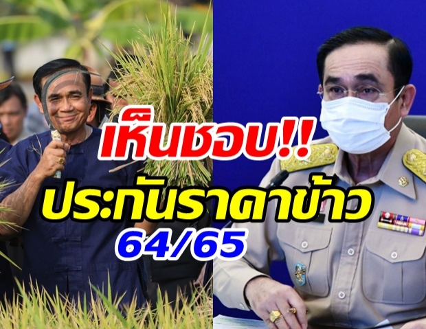 ชาวนาเฮ! บิ๊กตู่ เห็นชอบประกันรายได้ข้าวปี 64/65 วงเงิน 8.9 หมื่นล้านบาท