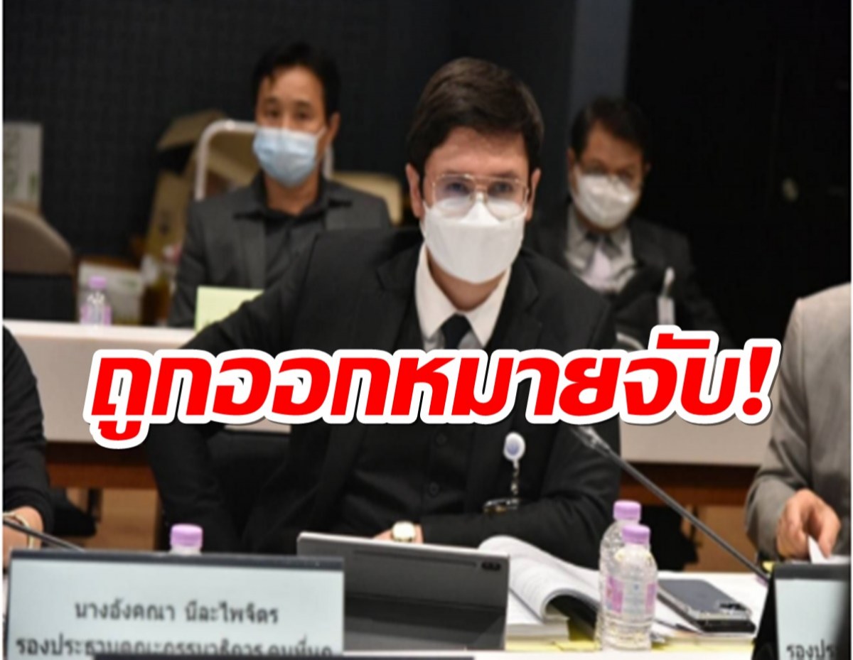 รังสิมันต์ โรม เผยถูกหมายจับ หลังอภิปรายป่ารอยต่อ-ค้ามนุษย์