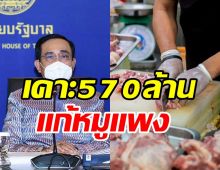 ครม.เคาะงบ570ล้าน เยียวยาเกษตรกรเลี้ยงหมู