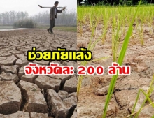 ครม.เคาะ 1.58 หมื่นล้านช่วยภัยแล้งจังหวัดละ 200 ล้าน สุรินทร์-บุรีรัมย์ เฮ! รับไป 500 ล้าน