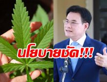 จุรินทร์ ยัน ประชาธิปัตย์ ไม่เอากัญชาเสรี หนุนเฉพาะทางการแพทย์