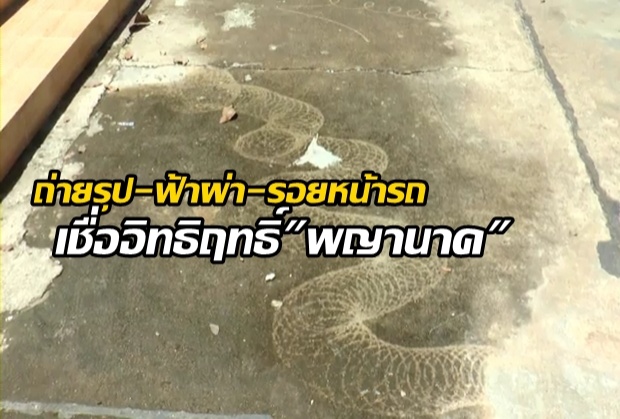 อัศจรรย์!ถ่ายติดหัวพญานาค เชื่อ ปูศรีสุทโธ สำแดงฤทธิ์ 