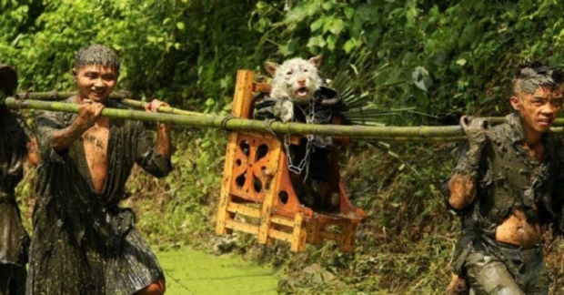 หากไทยมี “แห่นางแมว” ชนชาติเหมียวในจีนก็มีพิธี “แห่สุนัข” ขอฝนเหมือนกัน