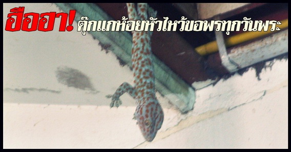 ขอบคุณภาพจาก "คมชัดลึก"