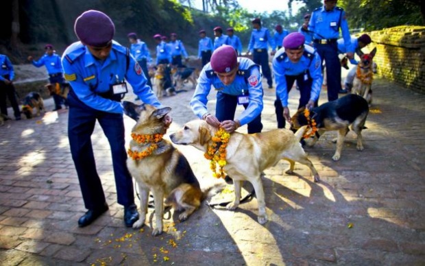 เทศกาลบูชาสุนัข อีกหนึ่งกิจกรรมน่ารักในประเทศเนปาล