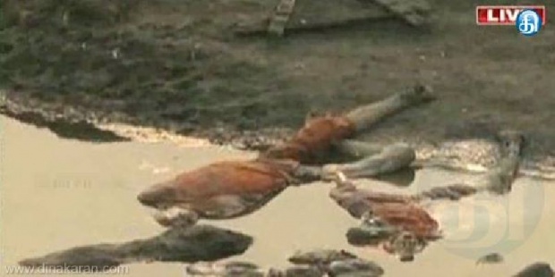 ผงะ! พบศพจำนวนร่วมร้อยลอยอยู่ในแม่น้ำคงคา