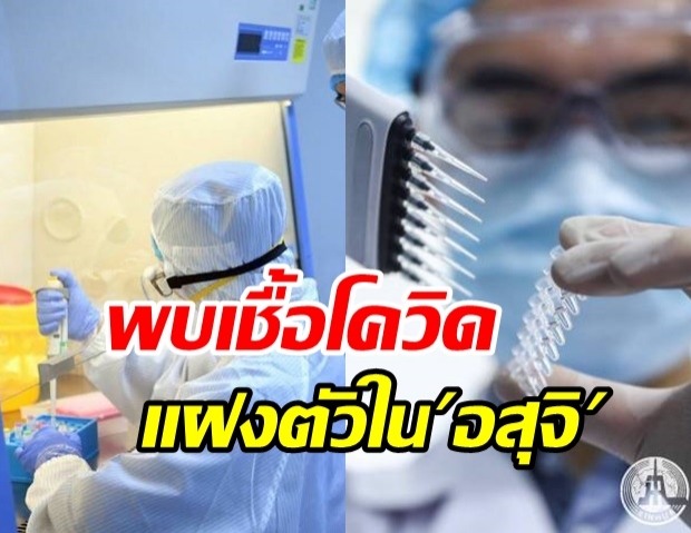 นักวิจัยพบเชื้อโควิด-19 แฝงตัวในอสุจิ เพิ่มเสี่ยงติดต่อทางเพศสัมพันธ์