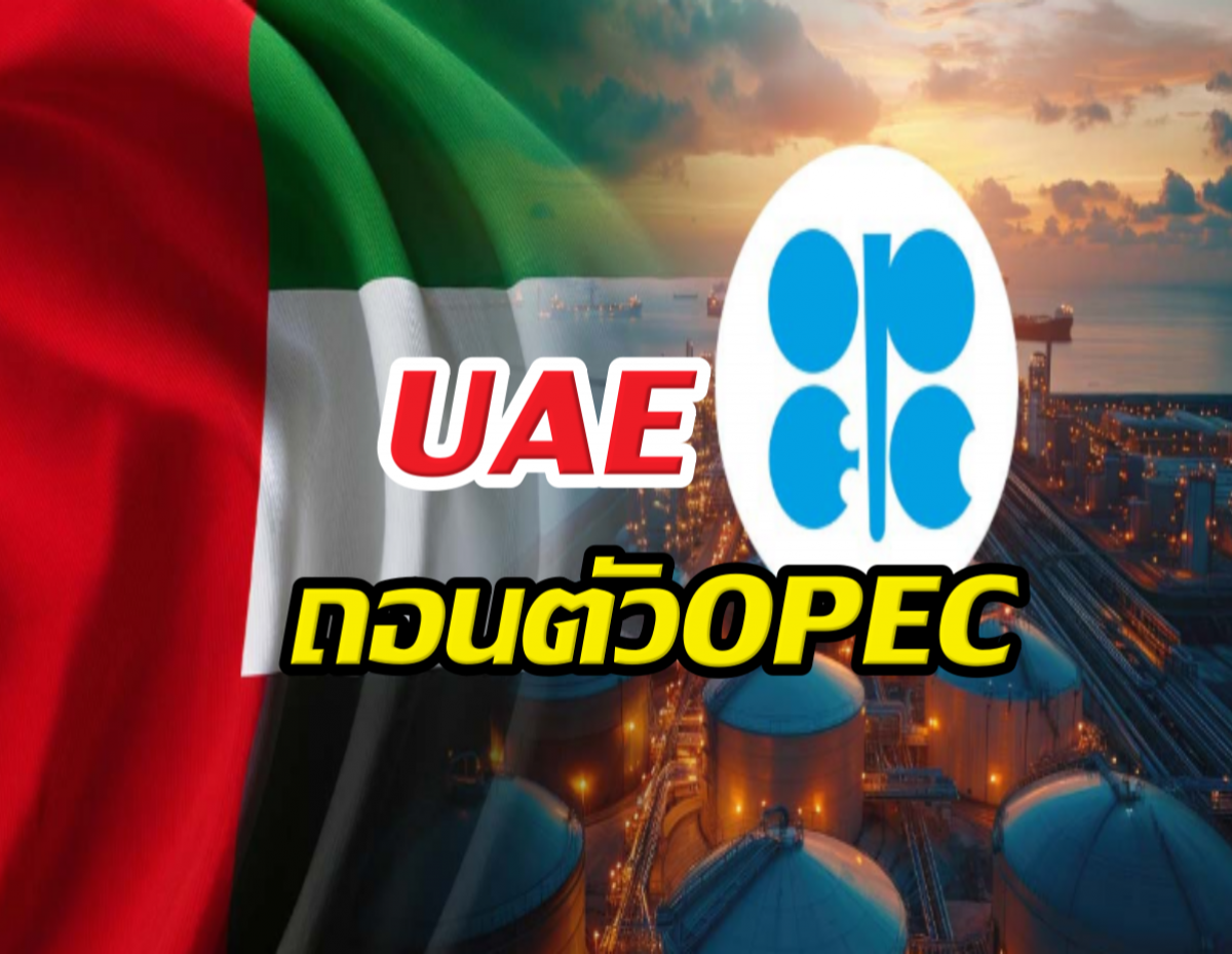 วงแตก! UAE ถอนตัว OPEC ทนแรงกดดันโลกไม่ไหว