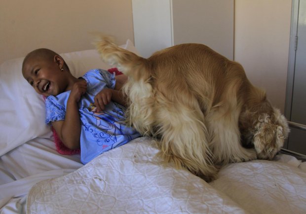 เอกวาดอร์ใช้สุนัขบำบัดสภาพจิตเด็กป่วยมะเร็ง