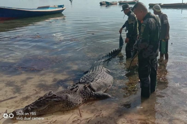  หนุ่มปินส์ชะตาขาด ไอ้เคี่ยมโหม่งทะลุเรือ กระชากร่างลงน้ำดับ