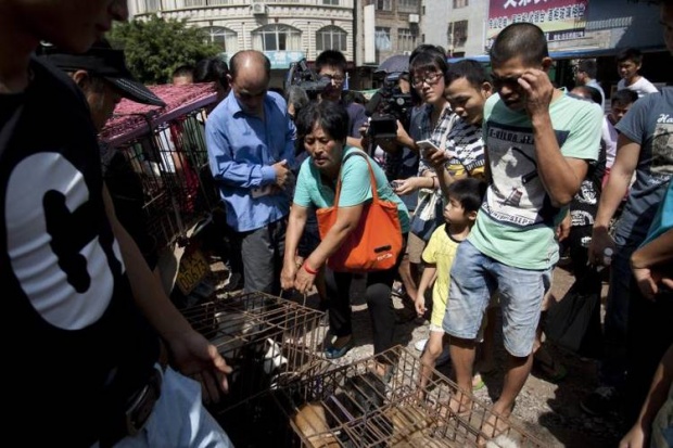 คุณป้าชาวจีนใจบุญควักเงิน ซื้อชีวิตสุนัขงานกินเนื้อหมา