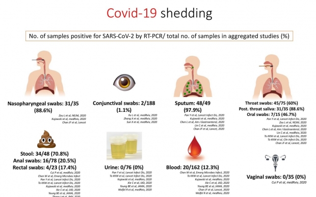 เปิดงานวิจัย ปริมาณเชื้อโควิด-19 ในสารคัดหลั่ง 8 อวัยวะสำคัญ