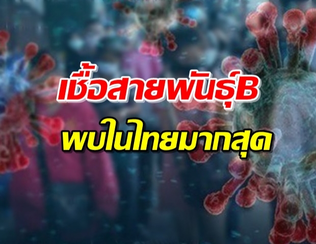 COVID-19สายพันธุ์ B ชนิดเดียวกับในอู่ฮั่น ระบาดในไทยมากสุด!