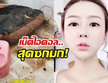 เน็ตไอดอลสาวดังโร่ขอโทษ หลังถูกแฉห้องพัก “สุดซกมก” ขยะ-อึหมาเกลื่อน 