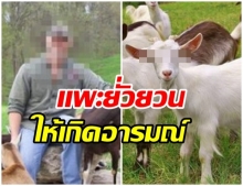 หนุ่มวิตถารยอมรับ “ขืนใจ-ฆ่าแพะ” อ้างถูกสัตว์ยั่วยวน เจ้าของหวั่นทำมาแล้วหลายครั้ง