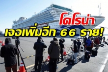 เจออีก 66 ราย! ยอดผู้ติดเชื้อไวรัสโครานาบนเรือสำราญญี่ปุ่นเพิ่มเป็น 136 คน