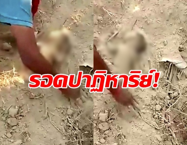 สุดปาฏิหาริย์! ชาวบ้านตามเสียงร้องปริศนา พบทารกถูกฝังทั้งเป็น(คลิป)