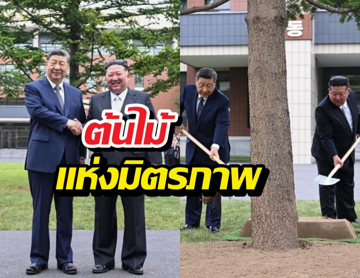 สีจิ้นผิง-คิม จองอึน ร่วมกันปลูก ต้นไม้แห่งมิตรภาพ