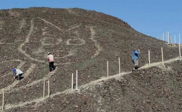 ตะลึงแมวยักษ์โผล่! นักสำรวจพบภาพแมวขนาดใหญ่บนเนิน