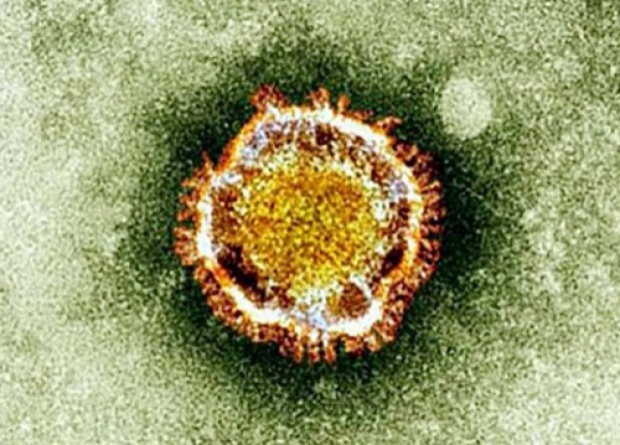 เกาหลีใต้พบผู้ติดเชื้อไวรัสเมอร์สเพิ่ม4-ตายอีก3