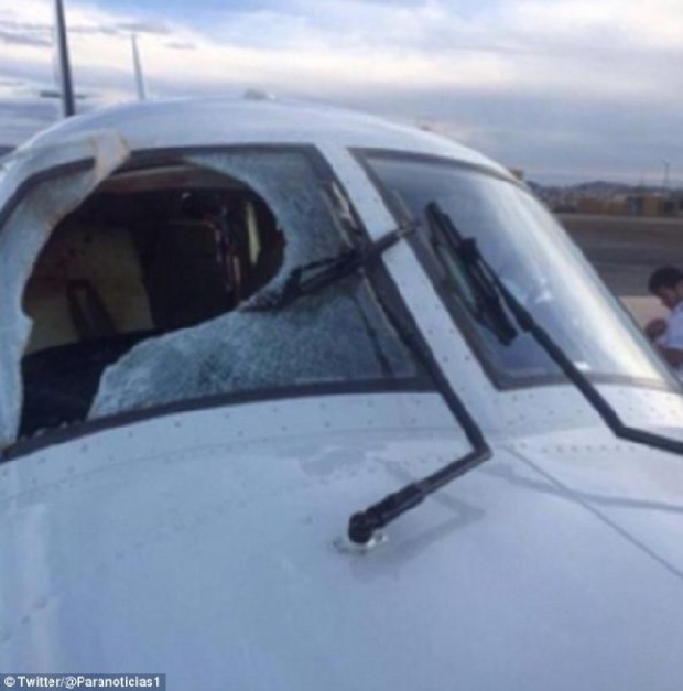 ระทึก! เหยี่ยวบินชนกระจกเครื่องบินส่วนตัว ในประเทศบราซิล นักบินบาดเจ็บ2ราย