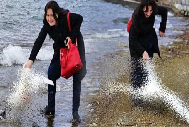 สุดสลด นักท่องเที่ยว บัลแกเรียลากหงส์จากน้ำเพื่อถ่ายภาพเซลฟี