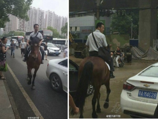 ฮือฮา! หนุ่มจีนเซ็งรถติด ทิ้งรถแล้วขี่ม้าไปทำงานแทน 