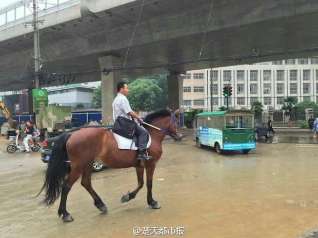ฮือฮา! หนุ่มจีนเซ็งรถติด ทิ้งรถแล้วขี่ม้าไปทำงานแทน 