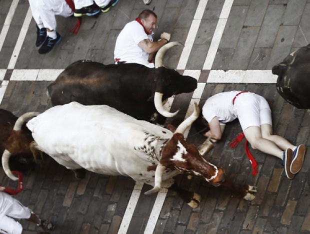 เปิดฉาก เทศกาลวิ่งวัว วันแรก!!! ถูกขวิดเจ็บ3-ล้มทับกันนับสิบคน 