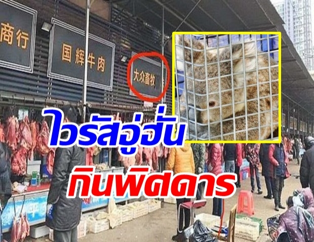 แฉตลาดปลาต้นตอ “ไวรัสอู่ฮั่น” ขายเนื้อสัตว์ป่าพิสดาร ผงะโคอาลาเป็นๆ พร้อมชำแหละ