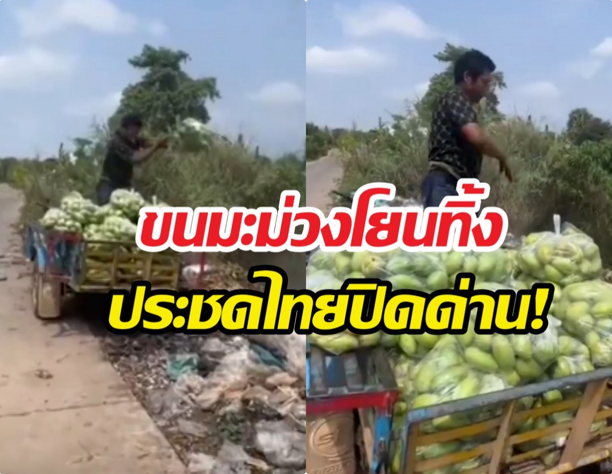 สุดทน!เกษตรกรเขมรขนมะม่วงเททิ้ง ประชดด่านไทยปิด