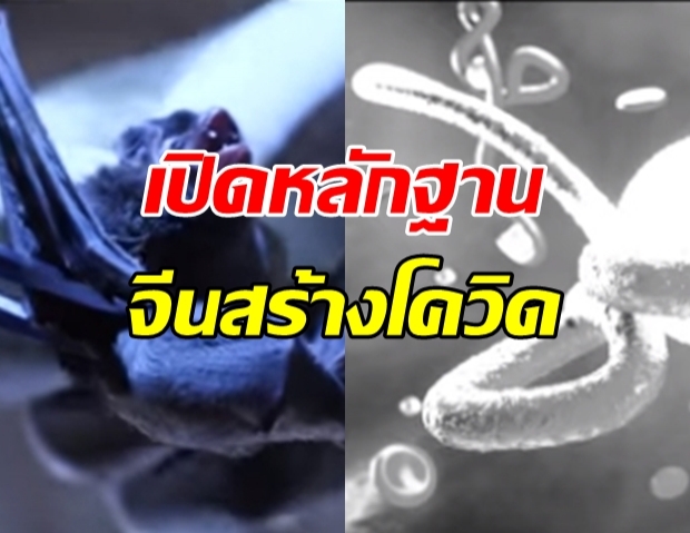 สื่อใหญ่ เปิดหลักฐานเด็ด โควิด-19 จีนสร้างขึ้น!?! (คลิป)