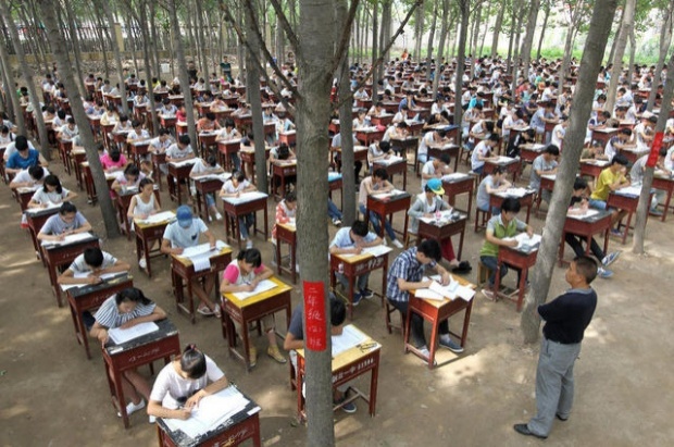 มัธยมในจีนเปิดป่าทำห้องสอบจัด800ที่นั่งให้นักเรียนคลายเครียด