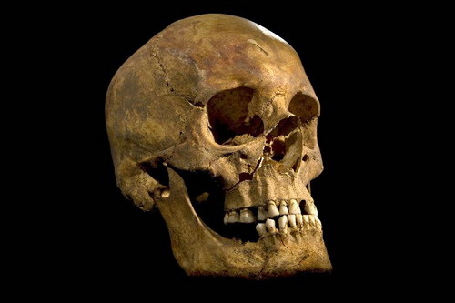 นักโบราณคดีอังกฤษยัน โครงกระดูกพบที่ลานจอดรถคือพระเจ้าริชาร์ดที่ 3