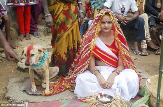 สุดแปลก! สาวอินเดียแต่งงานกับสุนัขแก้เคล็ด
