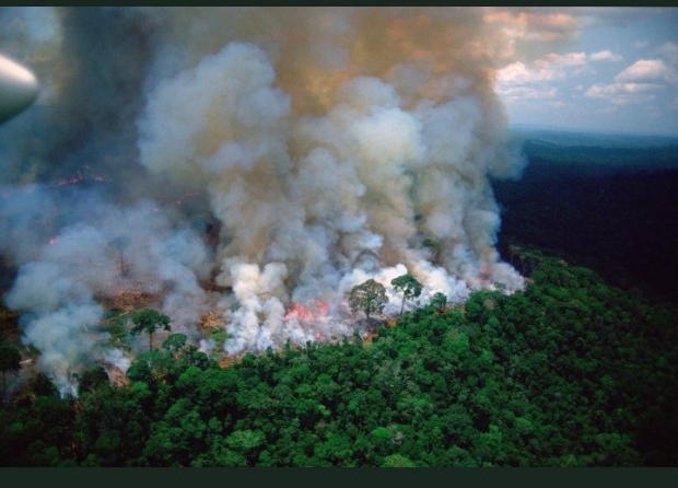 เหตุการณ์สลด! ป่าแอมะซอน ไฟไหม้อย่างหนัก ผืนป่าใหญ่ถูกทำลาย